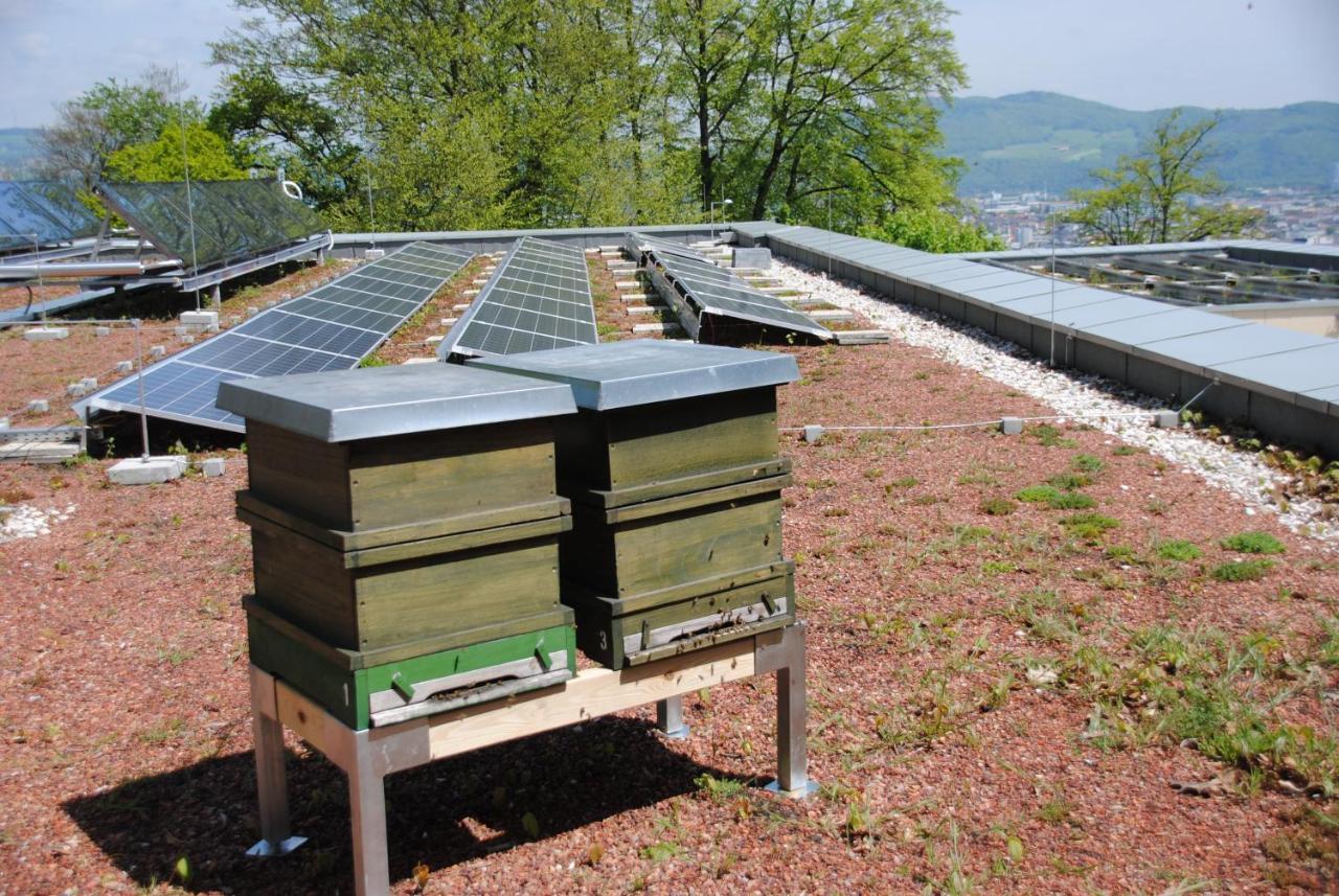 Jaegermayrhof Linz Extérieur photo